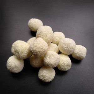 test-陶瓷過濾球（Ceramic Filter Ball）