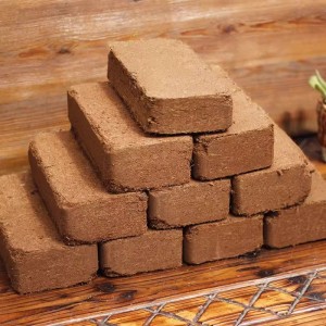 test-椰磚（Coconut Fiber Substrate）