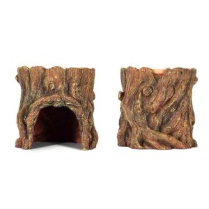 test-真樹單孔樹屋（Natural Tree Cave with Single Hole）