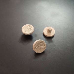 test-人工培養珊瑚底座（Cultured Coral Pedestal）