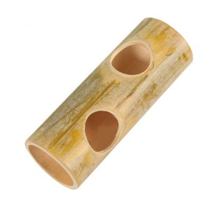 test-二孔竹石（Two-hole Bamboo Stone）