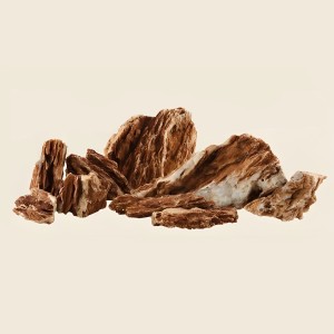 test-雞骨石（Chicken Bone Stone）