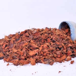 test-椰殼粒（Premium Coco Chips）