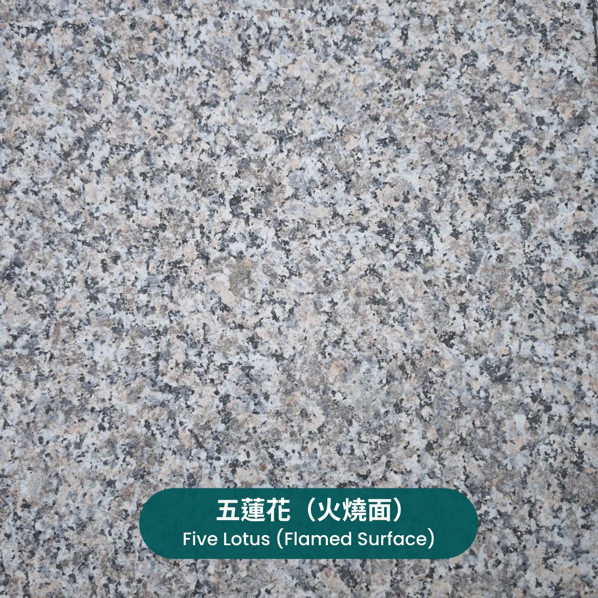 test-五蓮花（火燒面）Five Lotus (Flamed Surface)