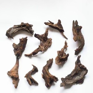 test-沈木單枝*（Drift Wood Branch）