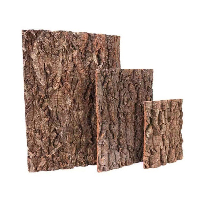 test-樹皮墊（Cork Background）
