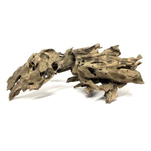 test-蝦木（Aquarium Landscaping Shrimp Wood）