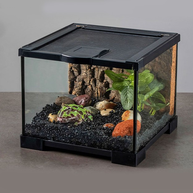 test-爬蟲缸（Mini T2 Glass Tank Wire Mesh LidBlack Background）
