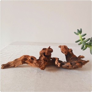 test-靈芝木（Mopani Wood）