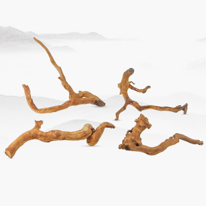 test-樹根粗單枝（Spider Wood Thick Branch）