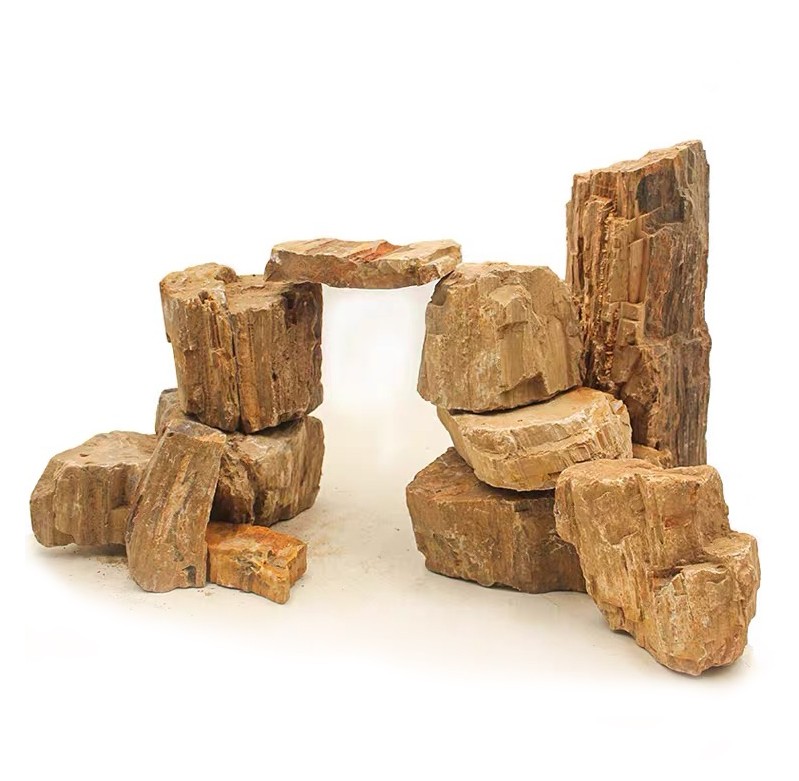 test-木化石（Wooden Fossil Stone）