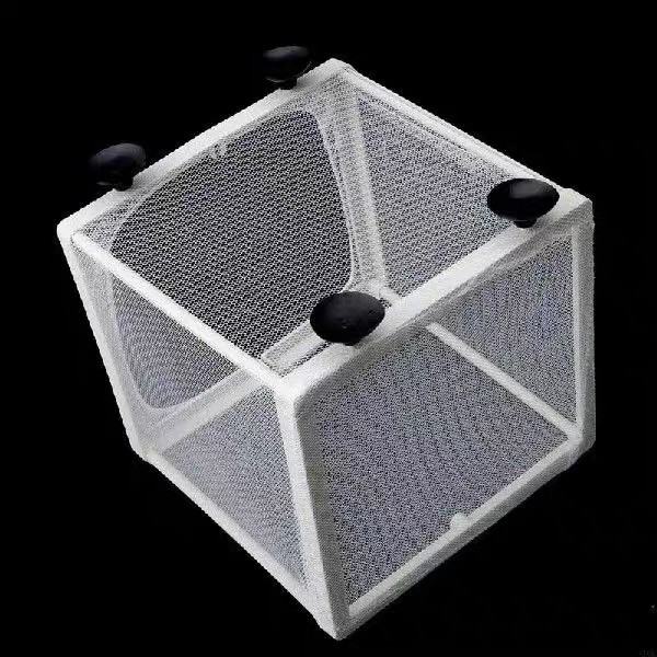 test-隔離網（Separated Net）