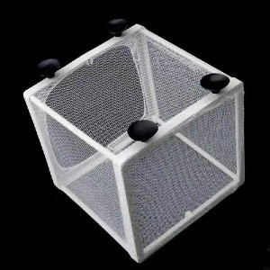 test-隔離網（Separated Net）