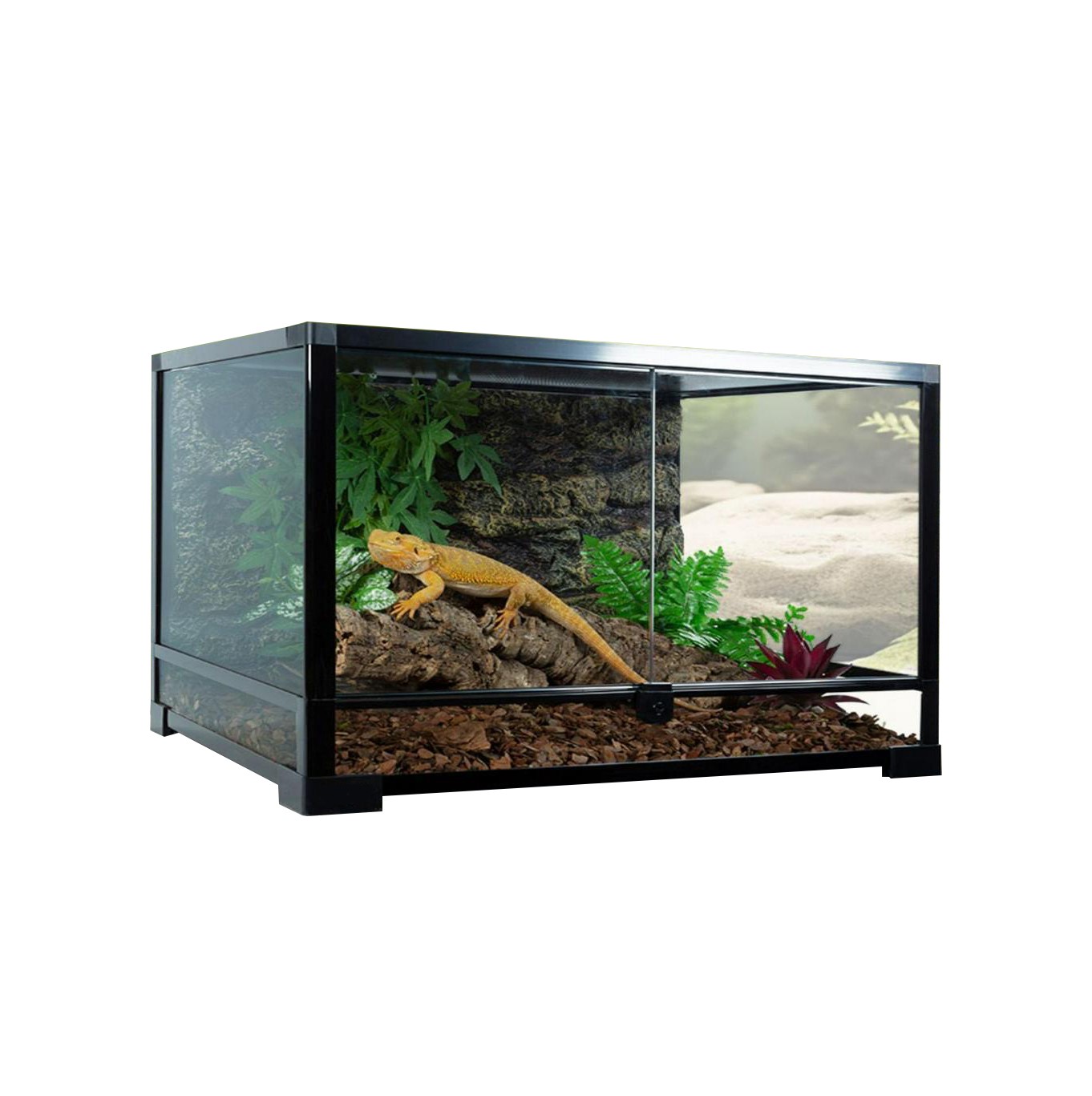 test-爬蟲缸（RTF 600H Glass Hinged DoorTerrarium）