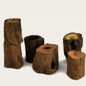 test-樹樁（Tree Stool）