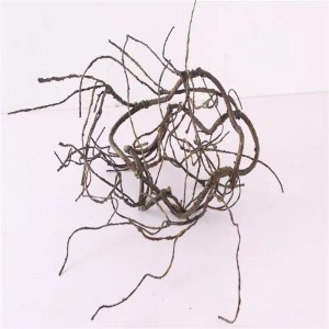 test-彎藤（Bend-Branch Vine）