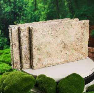 test-苔蘚片（Moss）