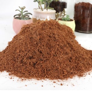 test-椰糠粉（Premium Coco Peat）