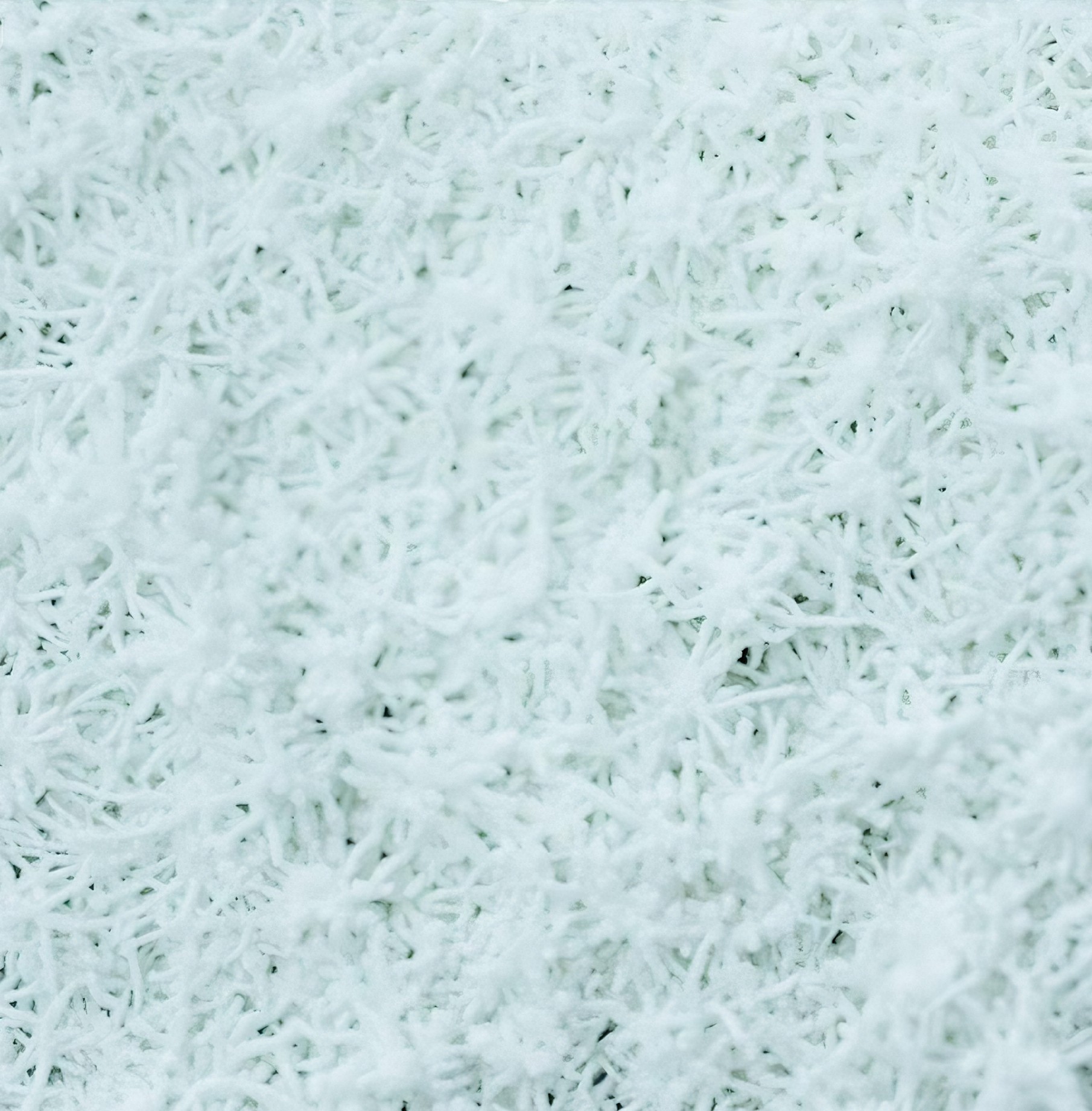 test-白色聚纖維媒體墊（White Poly Fiber Media Pad）