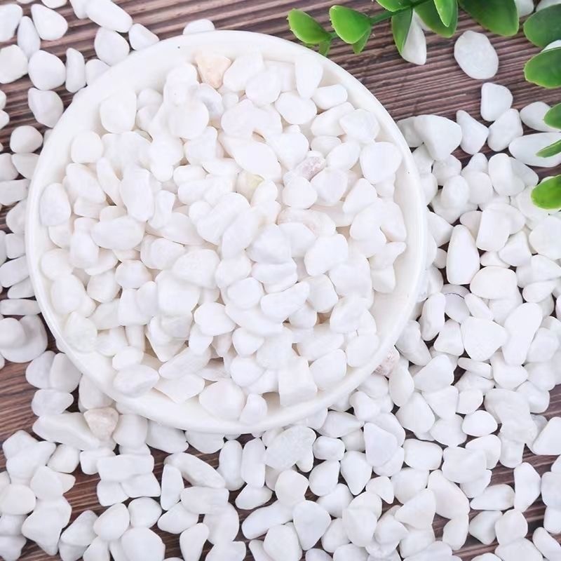 Quartz Bio-Chemical Sand