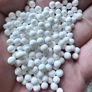 Activated Bio-Bead